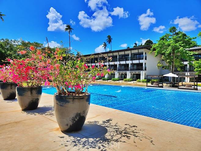 엘니도 세다리오 호텔&nbsp;풀장