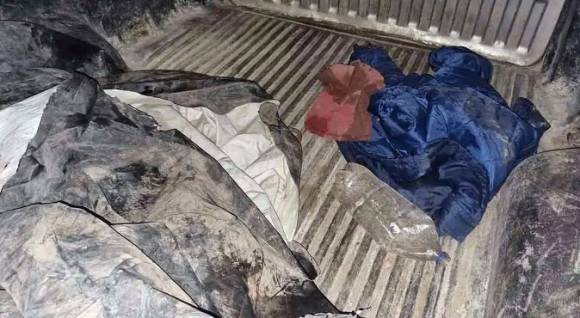 사진=-시신 4구를 싣고 발견된 픽업트럭의 짐칸. (출처=부에노스아이레스 경찰)