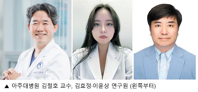 (왼쪽부터) 아주대병원 김철호 교수, 김효정·이윤상 연구원./사진=아주대병원 제공