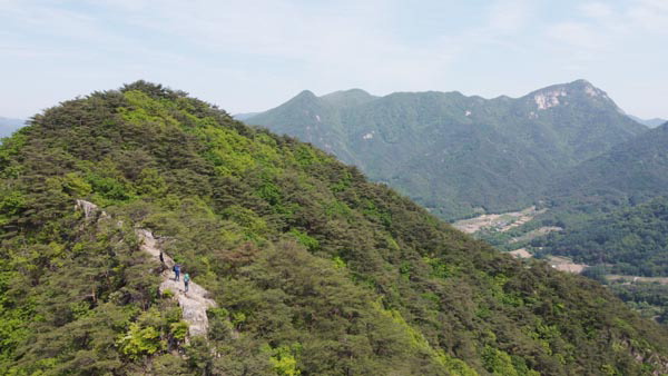 충북 괴산군 마분봉은 알려지지 않은 바위산이다. 근교산 취재팀이 692봉을 넘어 양쪽 까마득한 절벽인 ‘마법의 성’을 지난다. 멀리 시루봉과 백두대간 능선인 이만봉 희양산이 펼쳐진다. (드론촬영)