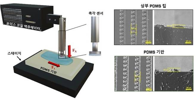 AI 기반 피부 발림성 분석 시스템 [ETRI 제공. 재판매 및 DB 금지]