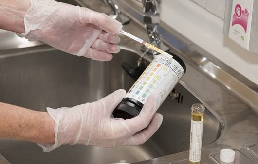 건강검진의 항목 중 하나인 요 케톤체 검사ㅣ출처: 클립아트코리아