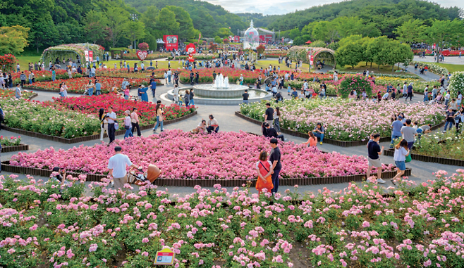 오는 22일부터 '16회 울산대공원 장미축제'가 열린다.(사진은 지난해 축제 현장)