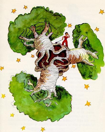 생 텍쥐페리의 소설 어린왕자에 들어간 바오밥나무 삽화. /플리커