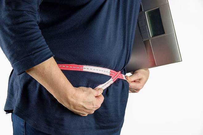 비만을 부르는 고지방 식단이 면역체계를 억제하는 장내 세균을 늘려 유방암을 유발할 수 있다는 연구 결과가 나왔다./픽사베이