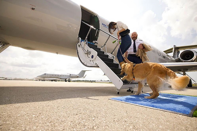 항공기에 탑승 중인 강아지와 주인 / 사진=바크에어 홈페이지