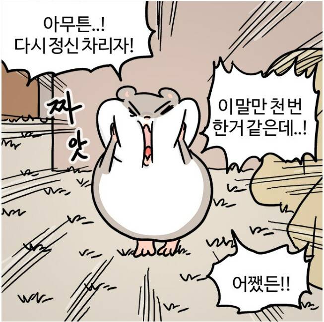 네이버 <흔한햄> 38화 네이버웹툰 갈무리.