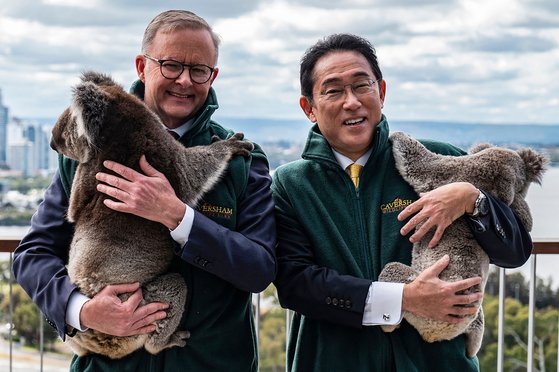 앤서니 앨버니지 호주 총리(왼쪽)와 기시다 후미오 일본 총리가 지난 2022년 10월 22일 호주 퍼스 킹스파크에 방문해서 코알라를 안고 있다. AFP=연합뉴스