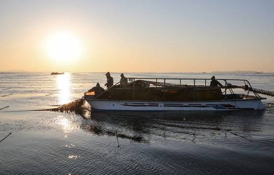 충남 서천 앞바다에서 주민들이 김을 채취하고 있다.  충남도는 국내외 김 수요가 증가함에 따라 안정적인 생산과 공급을 위해 기존 면적 대비 15%가량(580㏊)의 양식장을 새로 만들기로 했다. 충남도 제공.