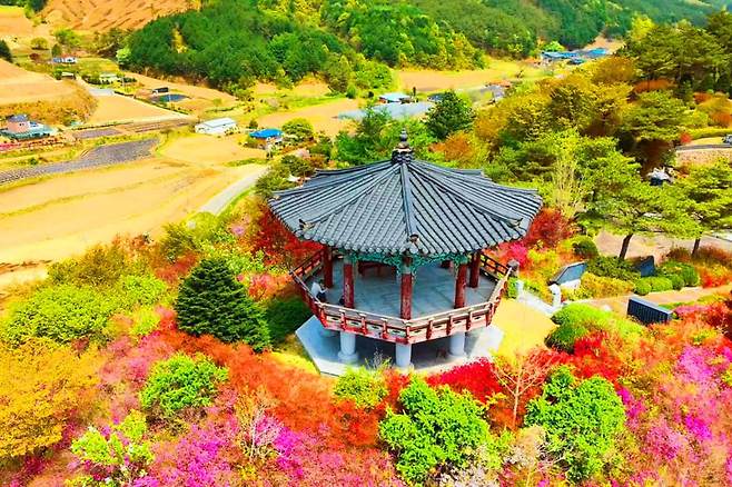 무궁화수목원 봄 전경