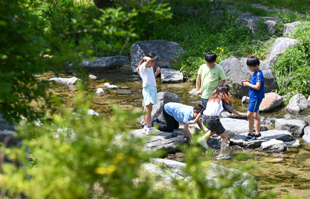 ▲ 강원도내 대부분 지역이 맑은 날씨를 보인 19일 춘천 약사천수변공원에서 어린이들이 즐거운 시간을 보내고 있다. 유희태