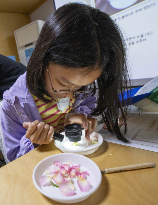 경기 용인 에버랜드 장미원 교육장에서 한 아이가 루페(소형 현미경)와 손전등을 가지고 꽃잎의 조직을 관찰하고 있다. 에버랜드 제공