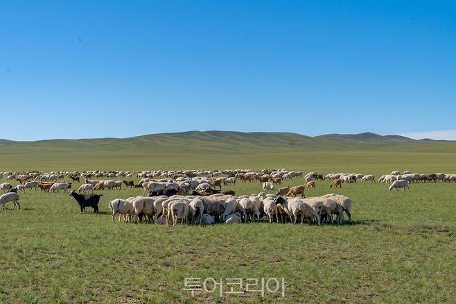 몽골 대초원/사진-하나투어