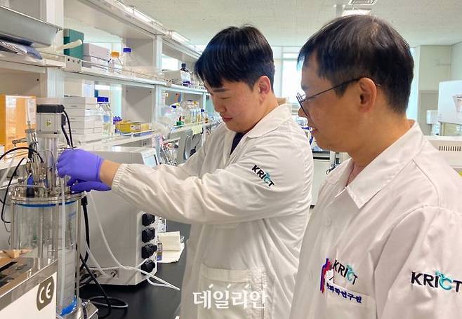 지난 3월 화학연 연구원들이 바이오 아디프산 생산을 위한 미생물 세포공장인 ‘야로위아 리폴리티카’ 균주를 배양하고 있다. ⓒ한국화학연구원