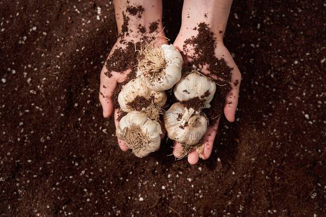 게티이미지뱅크