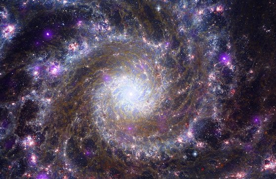 지구에서 약 3000만광년 떨어진 ‘메시에74’은하. 우리 은하처럼 나선형이다. 미국 제임스웹 우주망원경(JWST)이 찍었다. [로이터=연합뉴스]