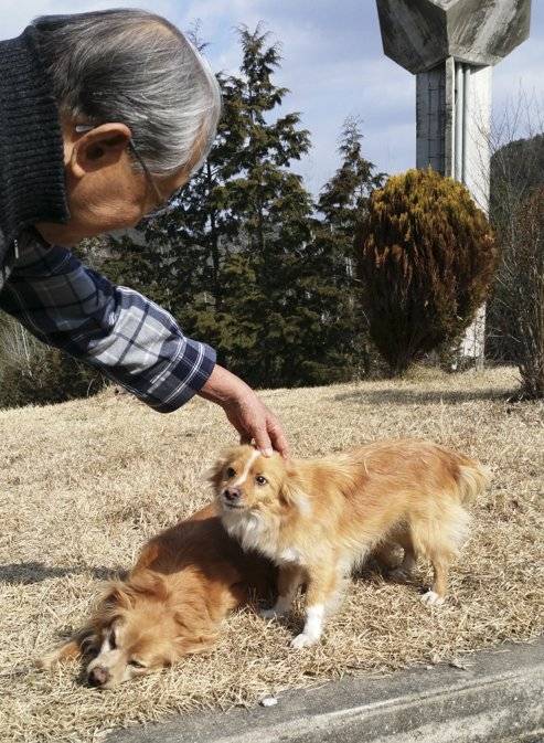 한라1세(왼쪽)과 노마. [사진 엔다수녀]