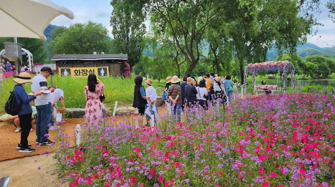 2023년 열린 '자라섬 꽃 페스타'에서 관광객들이 꽃의 향연에 빠져있다. /사진제공=가평군