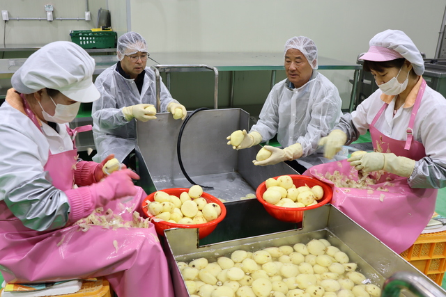 송수호 동부산농협 조합장(오른쪽 두번째)가 친환경농산물급식지원센터에서 감자를 다듬는 과정을 살펴보고 있다.