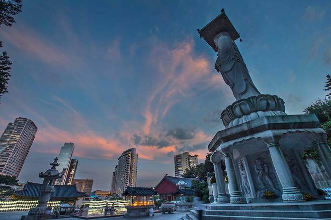 봉은사 미륵대불