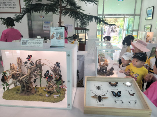 지난해 6월 열린 대청호자연생태관 세계 희귀 곤충 표본 특별전 모습. 대전 동구 제공