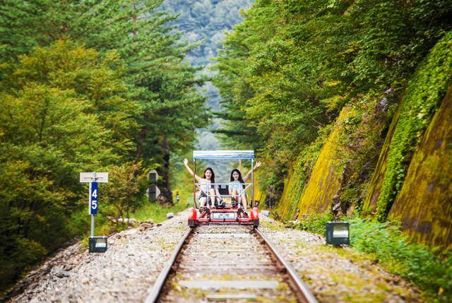 정선레일바이크는 숲과 터널, 강과 마을을 두루 거쳐 최고의 풍광을 선사한다고 자부한다. 정선군 제공