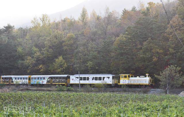 아우라지역에서 구절리역까지는 풍경열차를 타고 되돌아간다. 한국일보 자료사진