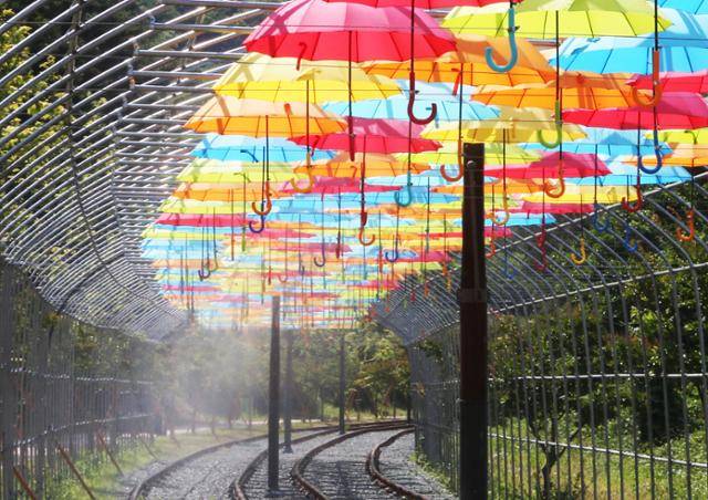 청도레일바이크의 우산터널. 청도군 제공