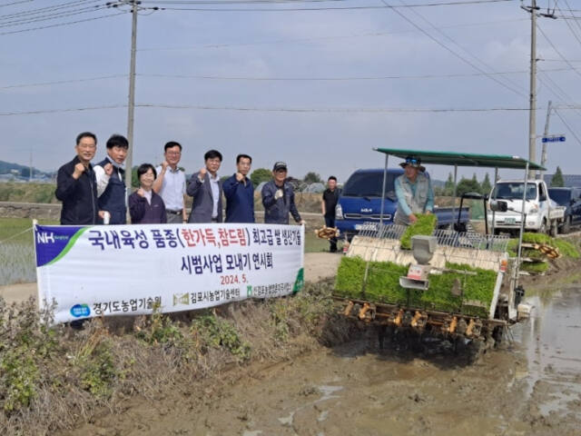 20일 김포시농업기술센터, 신김포농업협동조합 관계자와 농민 등이 참여한 가운데 신품종 ‘한가득’과 ‘참드림’으로 모내기를 실시하고 있다. 김포시 제공