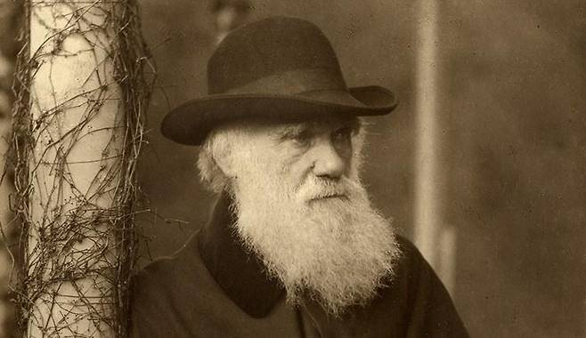 찰스 로버트 다윈 [ⓒ The Trustees of The Natural History Museum, London. 재판매 및 DB 금지]