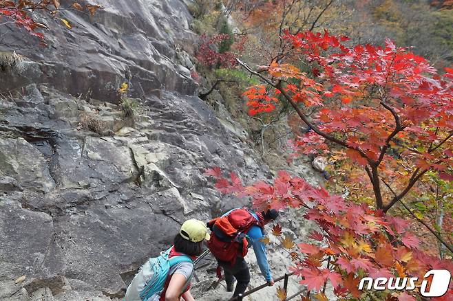 22일 서울 북한산 국립공원에 단풍이 물든 가운데 등산객들이 산을 오르고 있다. 2023.10.22/뉴스1 ⓒ News1 이승배 기자