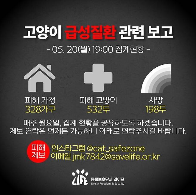 동물보호단체 ‘라이프’와 ‘묘연’의 집계를 보면, 5월20일 기준 고양이 급성 신경·근육병증 피해 고양이는 532마리다. 이 가운데 198마리는 사망했다. 라이프 제공