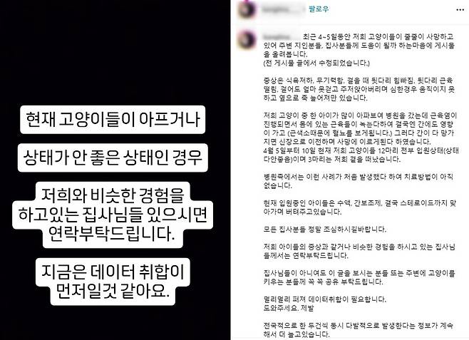 지난4월 초 사회관계망서비스(SNS)에는 키우던 고양이 12마리가 동시에 신경·근육병증으로 병원에 입원한 보호자의 사연이 올라왔다. 이를 시작으로 보호자들은 신경·근육병증에 대한 데이터를 모으기 시작했다. SNS 갈무리