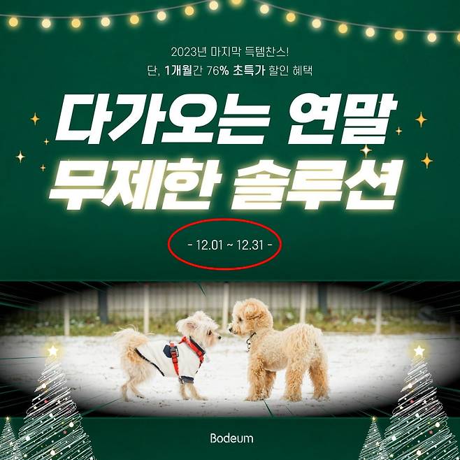 지난해 12월 1일부터 31일까지 진행된 보듬교육 패키지 특가 이벤트/사진=보듬컴퍼니 공식 인스타그램
