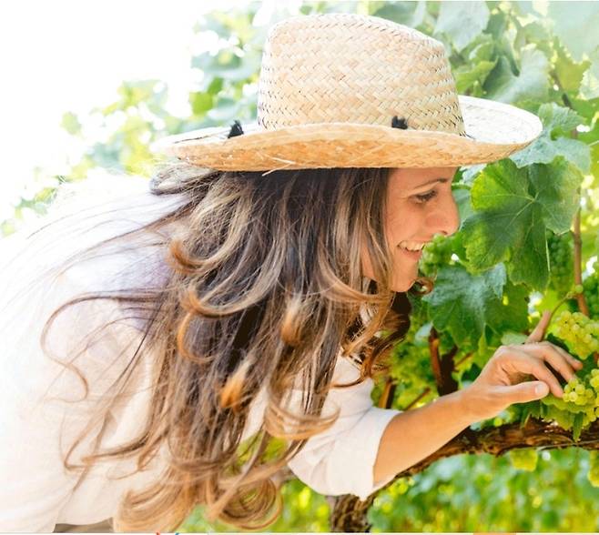 비비아나. 홈페이지