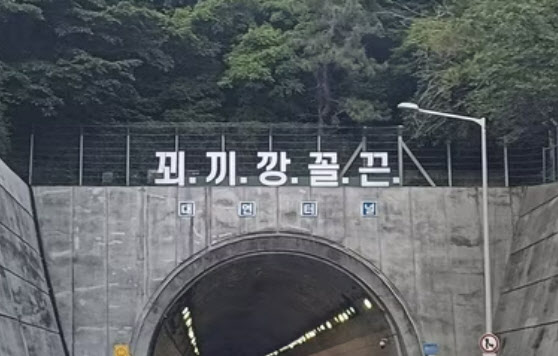 지난 21일 부산시설공단이 부산시 공공 디자인 개선을 위한 첫 사업으로 부산 도시고속도로 대연터널 위에 설치한 ‘꾀끼깡꼴끈’문구(사진=뉴스1)