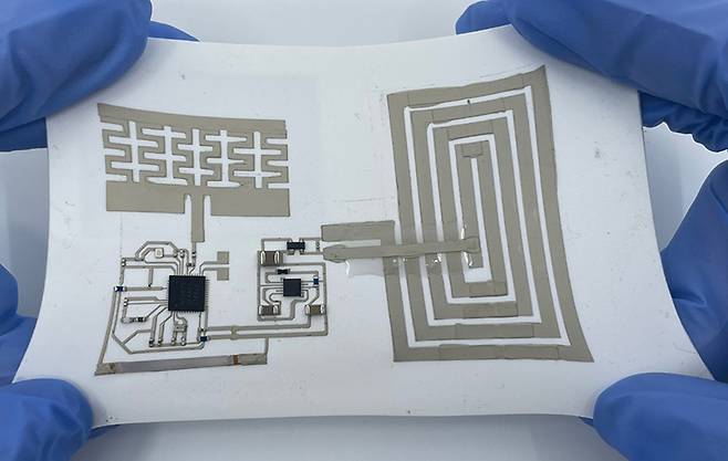 신축성 웨어러블 기기 (사진 제공=정예환 한양대 교수)