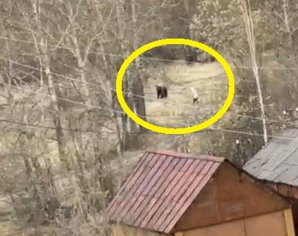 [텔레그램 채널 '올 마가단' 캡처]