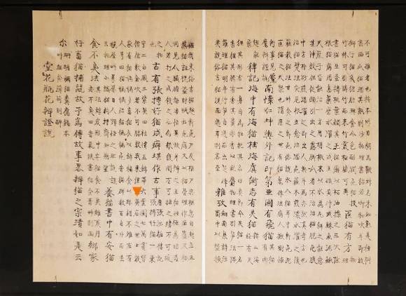조선후기 학자 이규경이 조선 백과사전인 ‘오주연문장전산고’(五洲衍文長箋散稿)에  고양이에 대한 설명을 쓴 글.