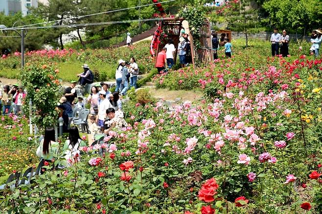 서울 성동구 제공