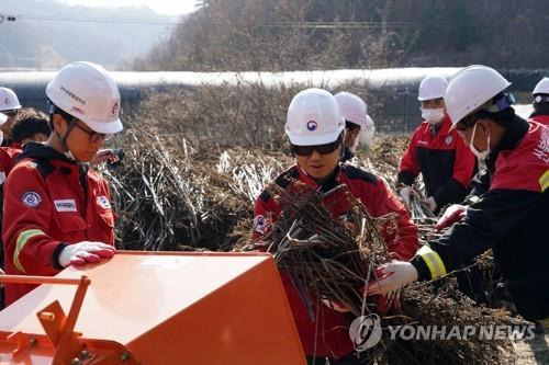 영농부산물 파쇄 [산림청 제공.재판매 및 DB 금지]