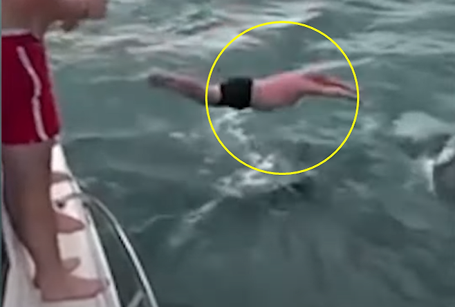 보트에서 다이빙해 범고래에 몸을 부딪히려 시도한 뉴질랜드 남성. [이미지출처=인스타그램]