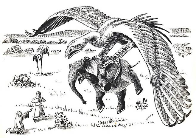 9세기 아라비아 탐험가들이 마다가스카르에 도착했을 때는 코끼리새가 살고 있었다. 그들은 아라비안 나이트에 나오는 거대한 새 로크 이야기를 가져왔을 것이다. 하지만 탐험가들의 모험담은 과장되기 일쑤였다. 출처 | 러셀 프랜시스 피터슨의 1913년 그림
