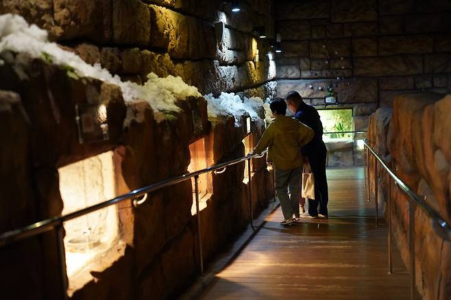 People view reptiles exhibited in the reptile zone of Play Aquarium Bucheon on May 16. (Lee Si-jin/The Korea Herald)