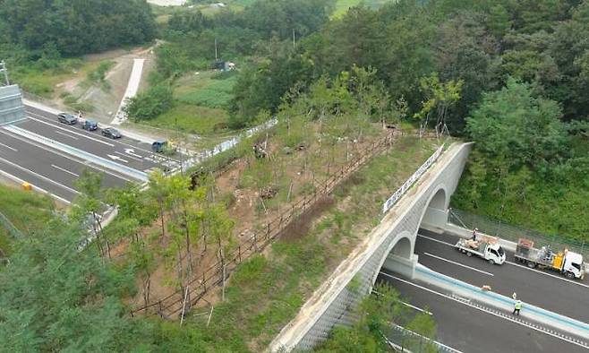 고속도로 터널 위 야생동물 생태통로. 한국도로공사 제공