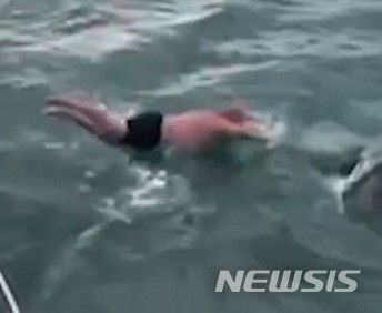 보트에서 다이빙해 물속에 있는 범고래에 몸을 부딪히는 장난을 친 영상을 찍어 논란이 된 뉴질랜드의 50대 남성이 벌금 처분을 받았다. 출처 : @docgovtnz *재판매 및 DB 금지