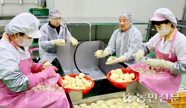 송수호 부산 기장 동부산농협 조합장(오른쪽 두번째)이 친환경농산물급식지원센터에서 감자를 다듬는 과정을 살펴보고 있다.