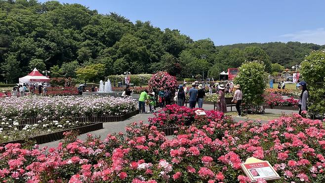 울산대공원 장미축제 (울산=연합뉴스) 한지은 기자 = 울산대공원 장미축제가 열린 지난 23일 방문객들이 축제를 즐기고 있다. 2024.5.24