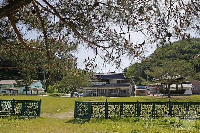 석송령에서 보이는 마을 일대가 석송령의 땅이다(한국관광공사 제공)