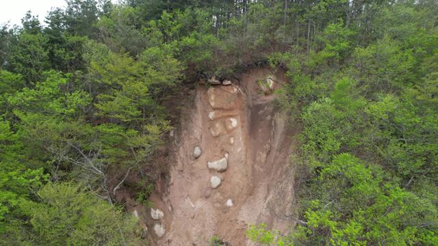 경주 국립공원 내 석굴암 윗편의 경사면에 산사태가 발생한 모습. 녹색연합 제공